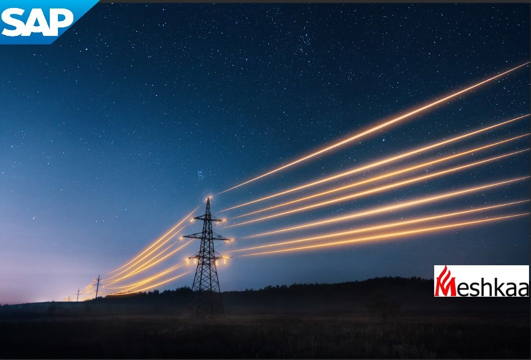 SAP IS-U DM, SAP Device Management from Scratch